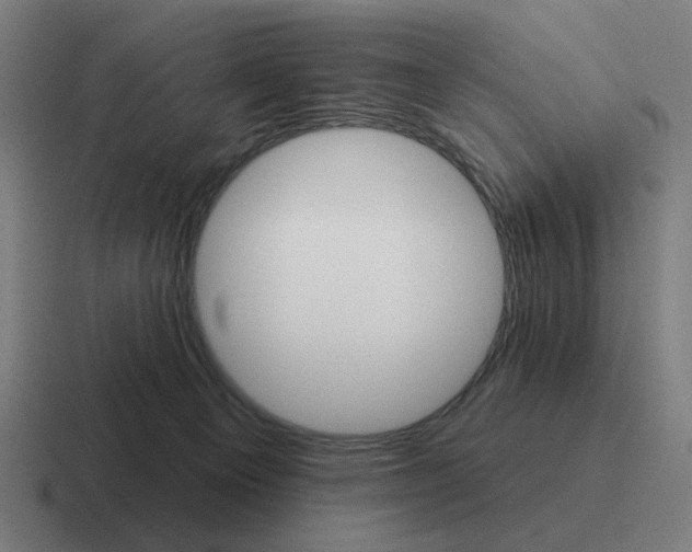 X0000116790129200912311924