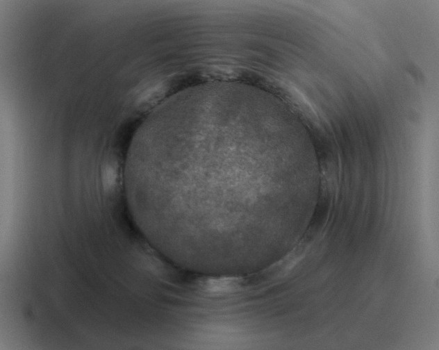 X0000116790134200912311924