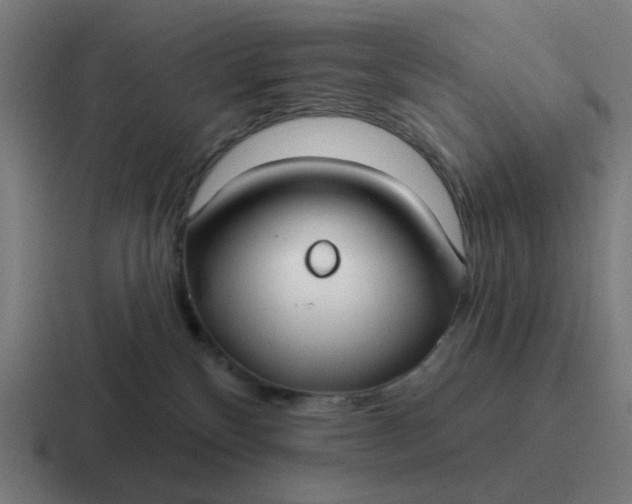 X0000116790136200912311924