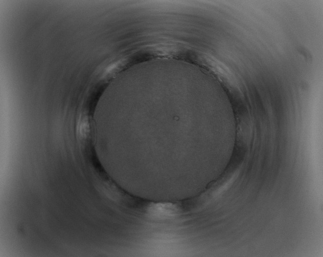 X0000116790137200912311924