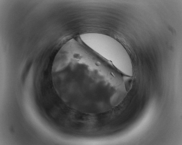 X0000116790143200912311924