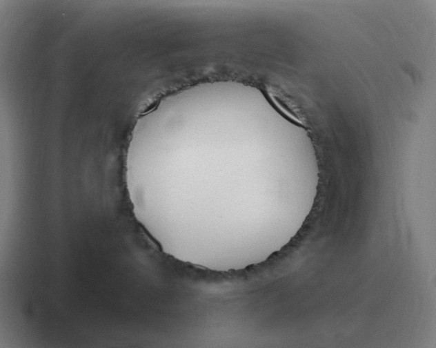 X0000116790144200912311924