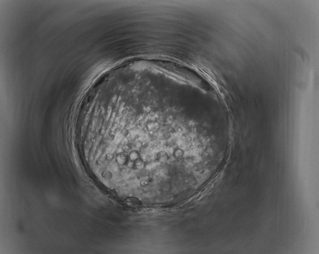 X0000116790145200912311923