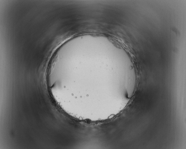 X0000116790146200912311923