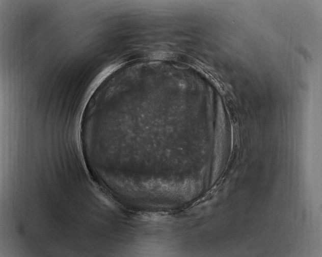 X0000116790147200912311923