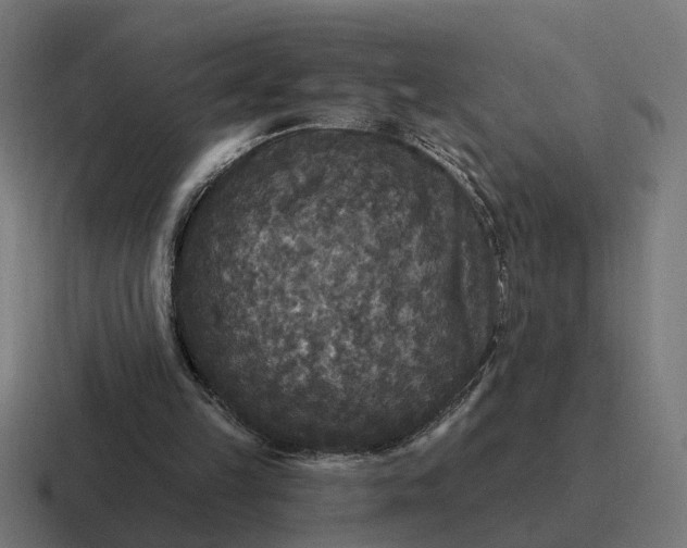 X0000116790149200912311923