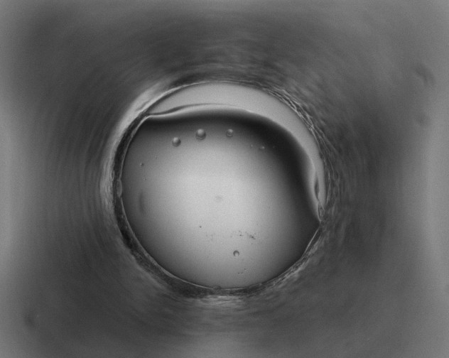 X0000116790150200912311923