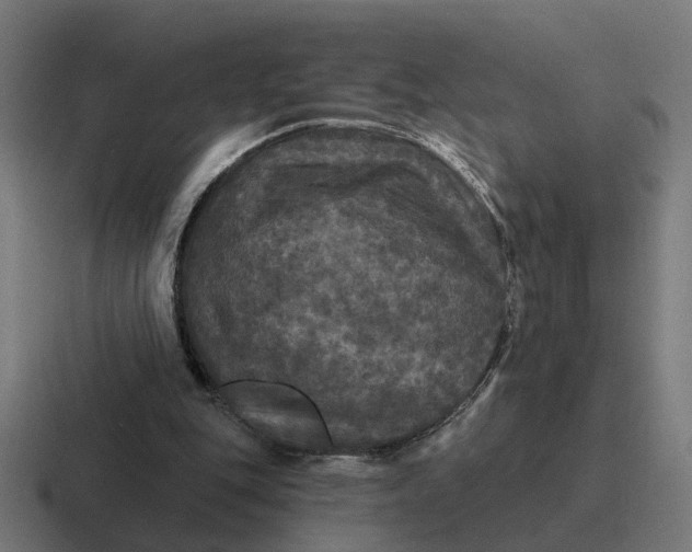 X0000116790151200912311923