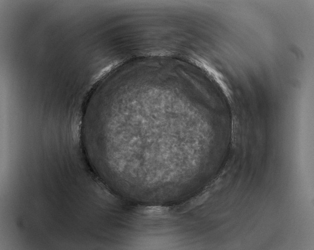 X0000116790153200912311923