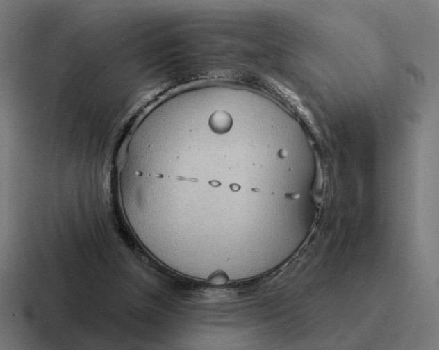 X0000116790154200912311923