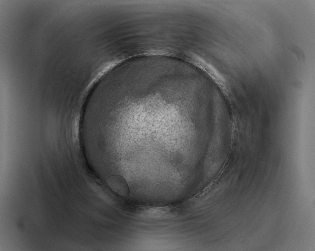 X0000116790155200912311923