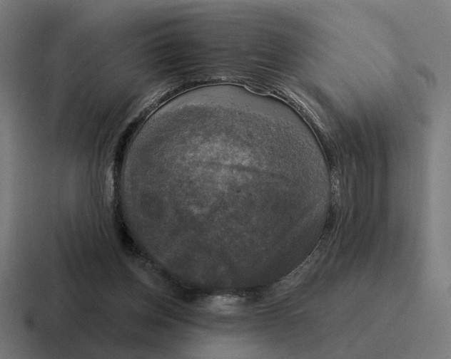 X0000116790158200912311923