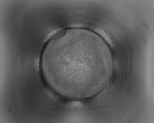 X0000116790159200912311923