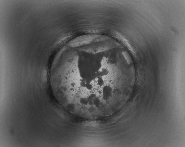 X0000116790161200912311923