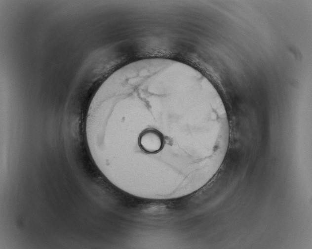 X0000116790162200912311923