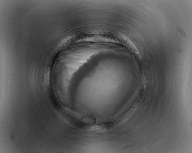 X0000116790163200912311923