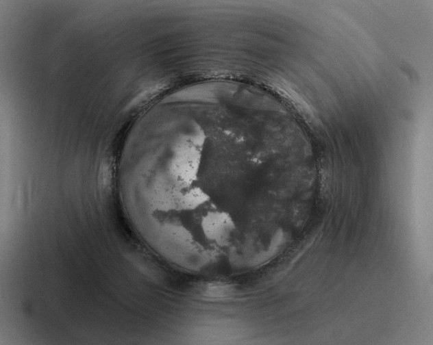 X0000116790165200912311924