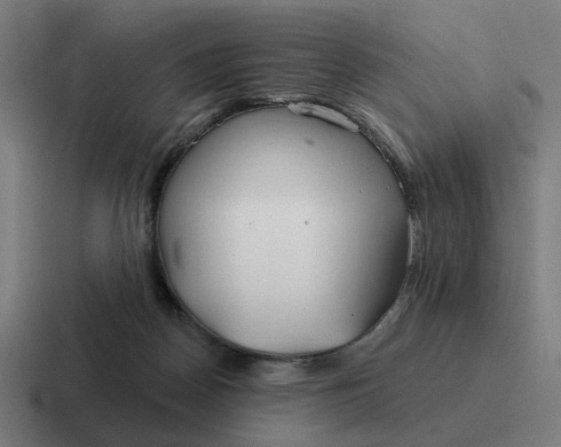 X0000116790170200912311924