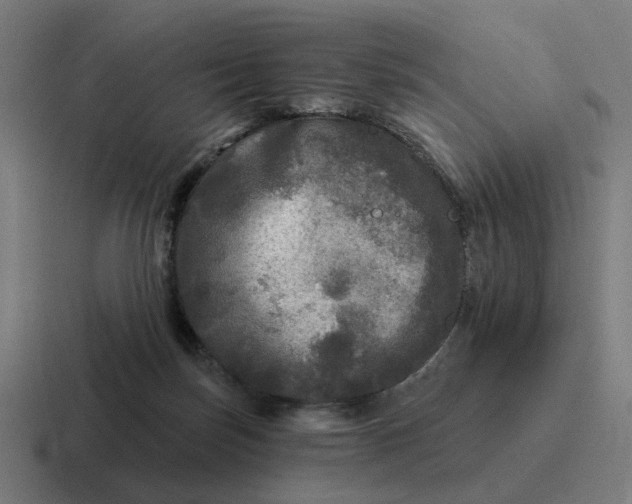 X0000116790171200912311924