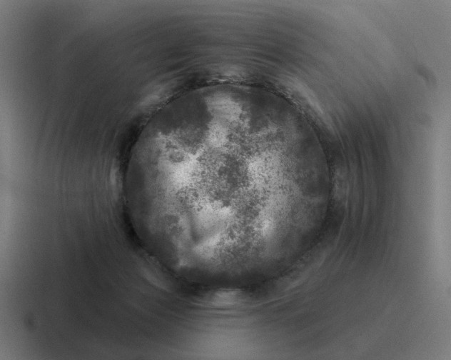 X0000116790173200912311924