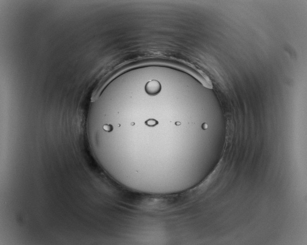 X0000116790174200912311924