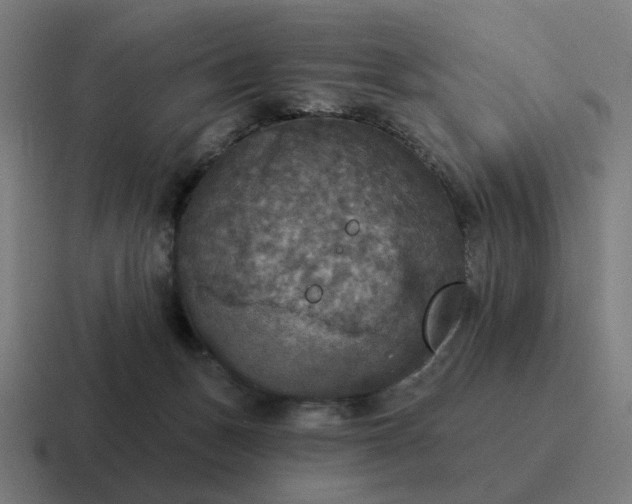 X0000116790175200912311924