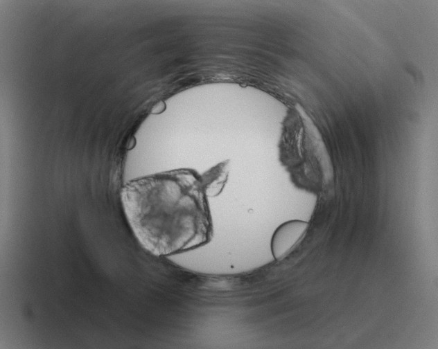 X0000116790177200912311924