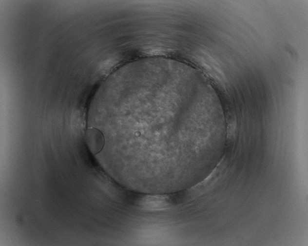 X0000116790179200912311924