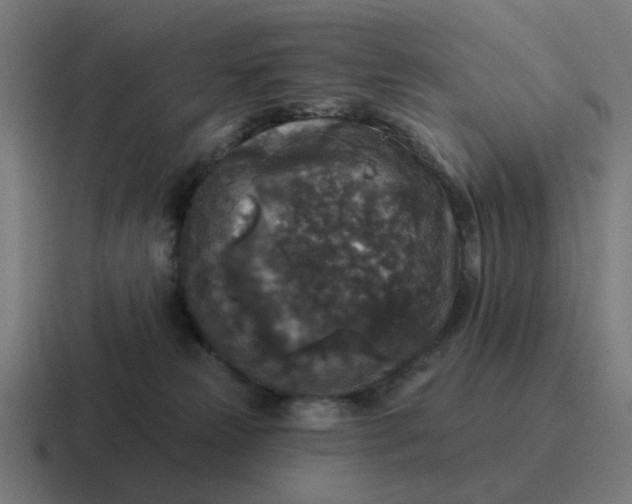 X0000116790181200912311924