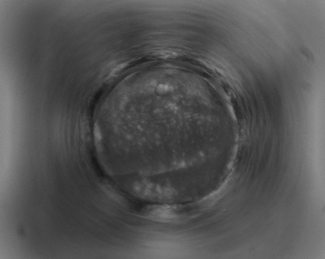 X0000116790182200912311924