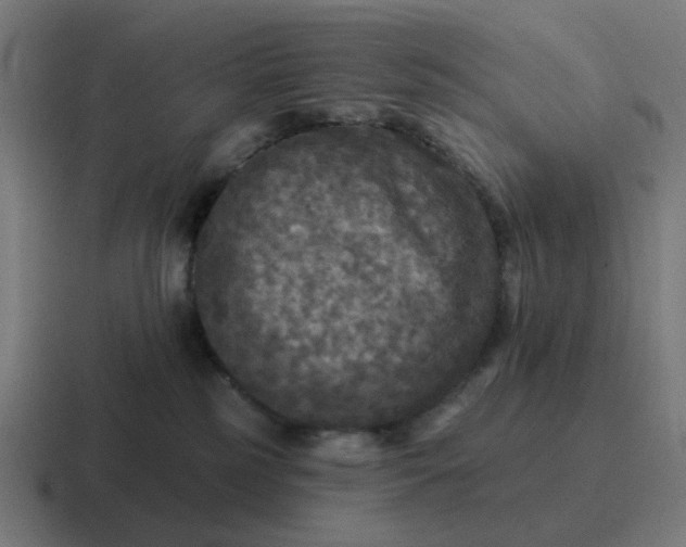 X0000116790185200912311924