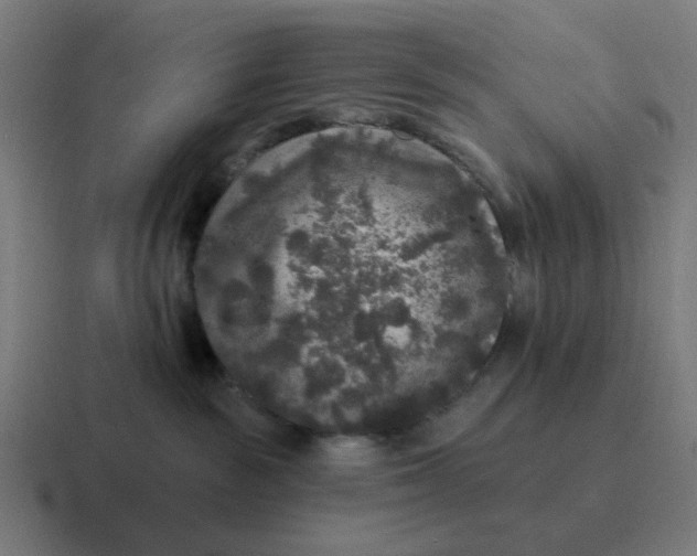 X0000116790189200912311924