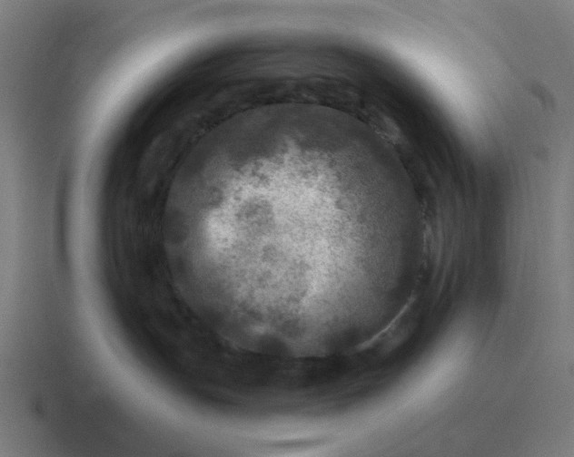 X0000116790191200912311924