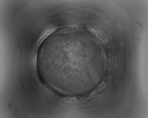 X0000116790194200912311923