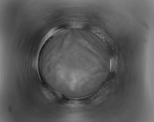 X0000116790195200912311923