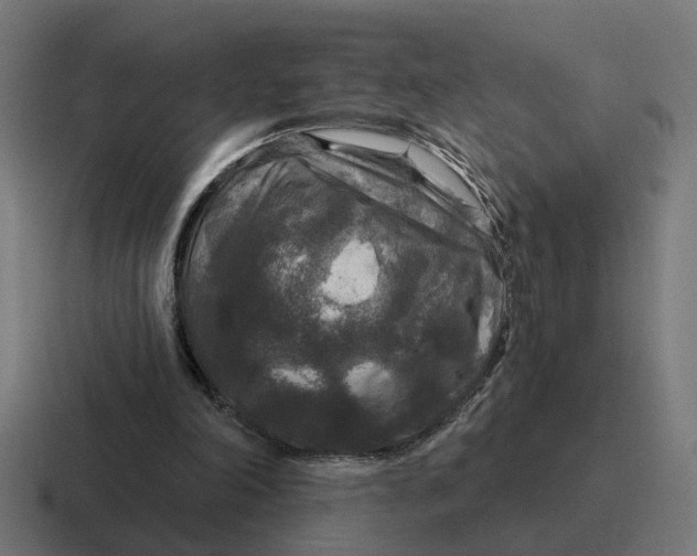 X0000116790198200912311923