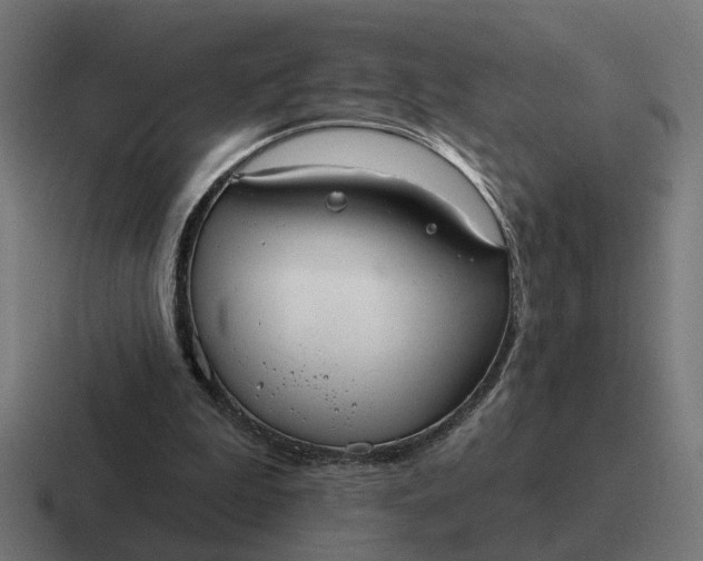 X0000116790199200912311923