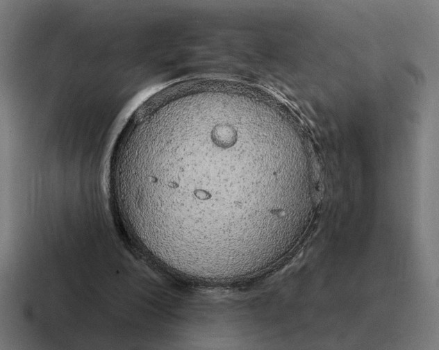 X0000116790200200912311923