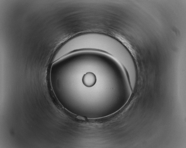 X0000116790201200912311923