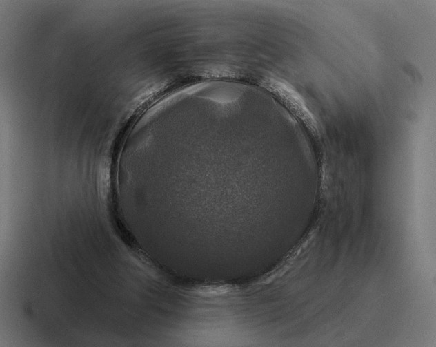 X0000116790202200912311923