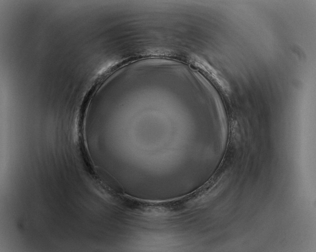 X0000116790203200912311923