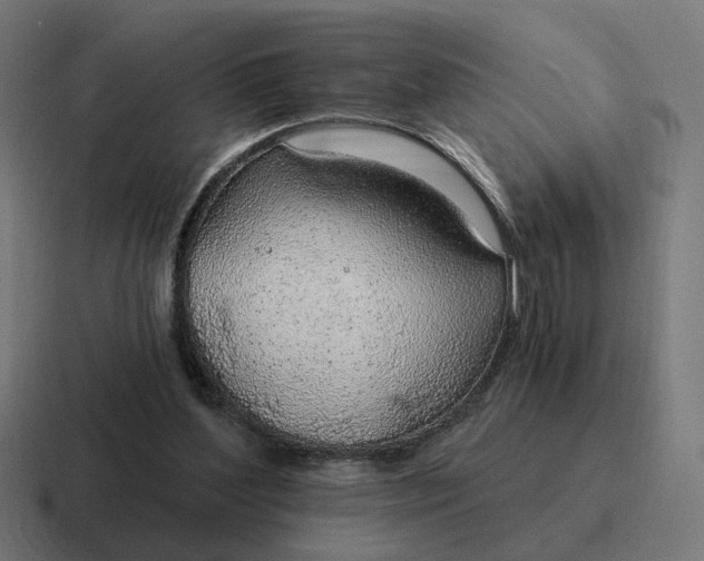 X0000116790204200912311923