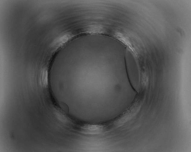 X0000116790205200912311923