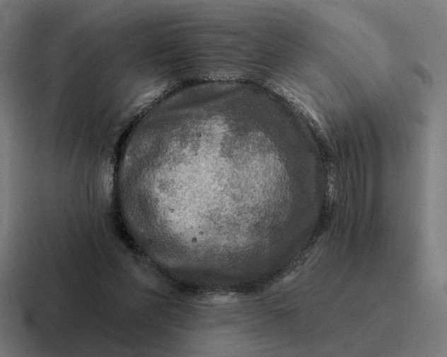 X0000116790206200912311923