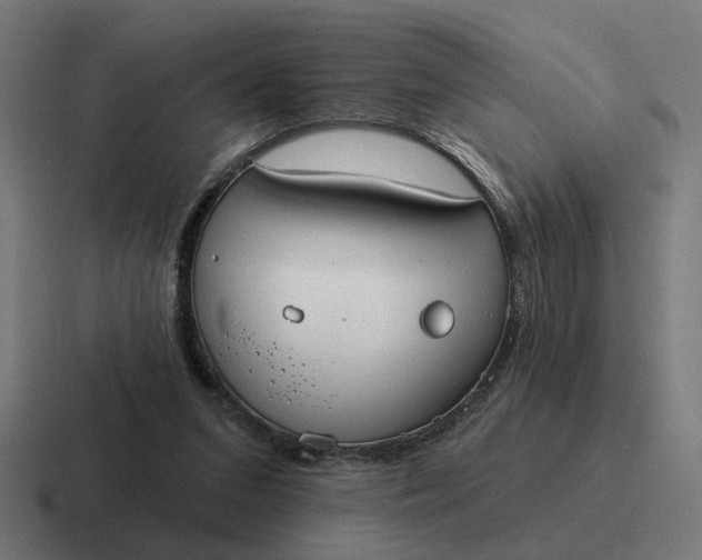 X0000116790207200912311923