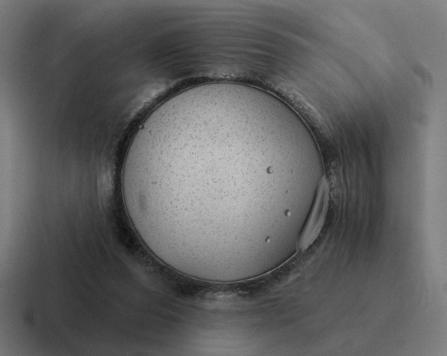 X0000116790208200912311923