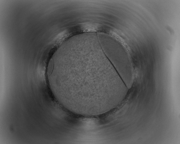 X0000116790209200912311923