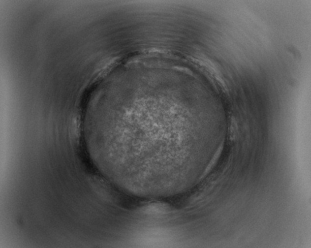 X0000116790210200912311923