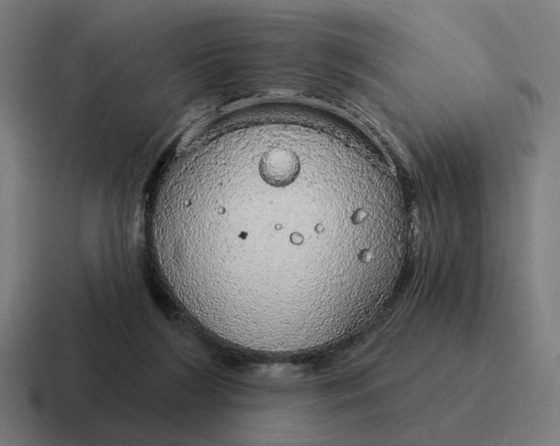 X0000116790212200912311923