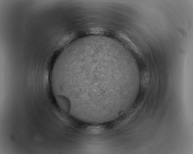 X0000116790213200912311923